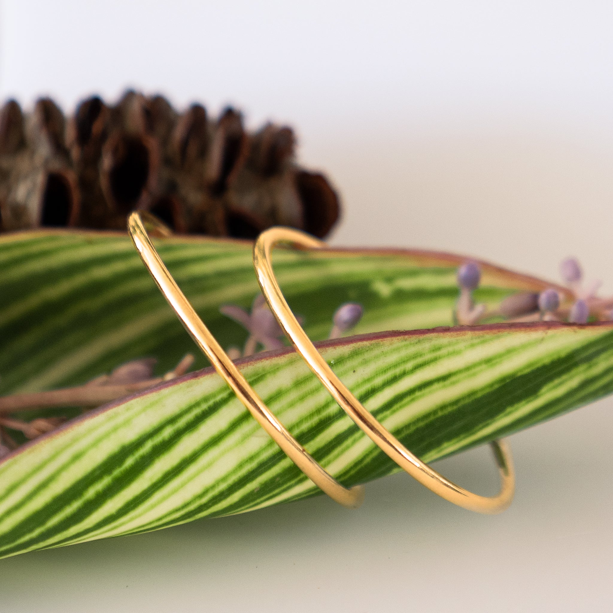 solid gold hoop earrings